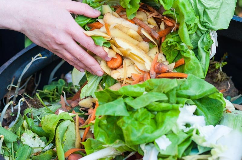 composting-kitchen-food-waste