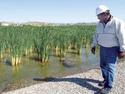 produced-water-discharge-san-ardo-wetlands