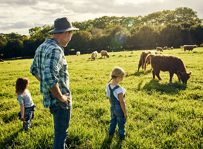 Man and children looking out onto field with cows. 