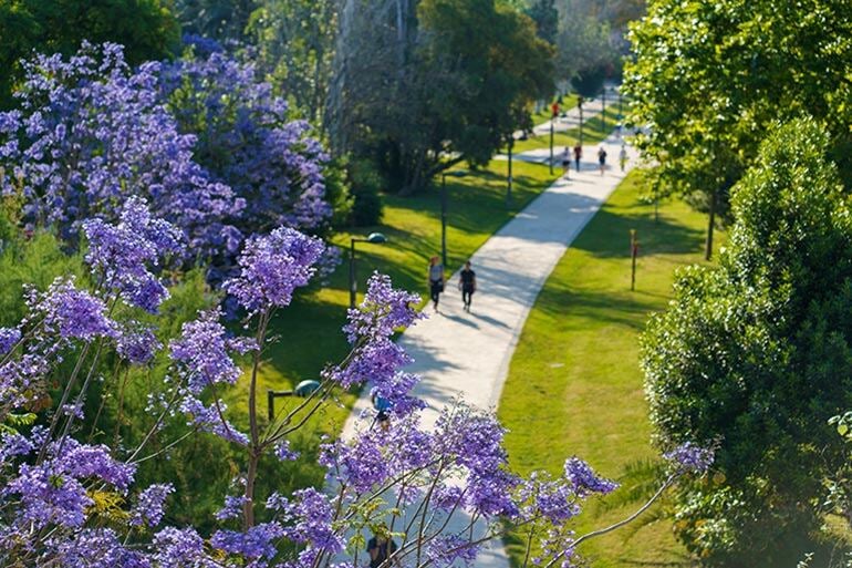 sustainability-path-forward