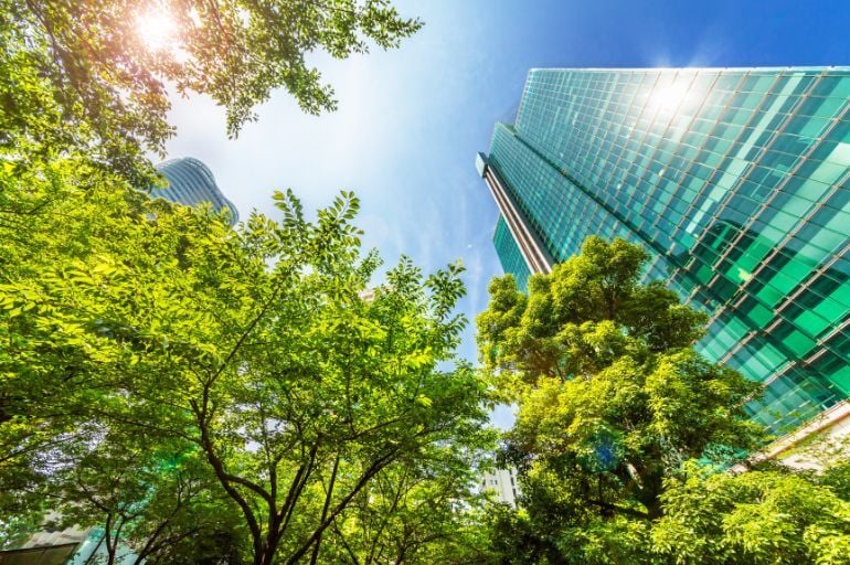 sustainable-solutions-waste