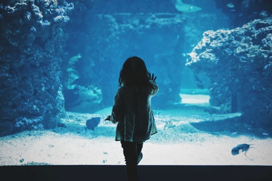 girl at aquarium 