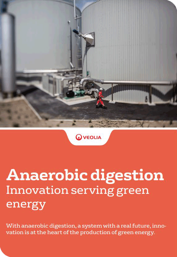 anaerobic digestion